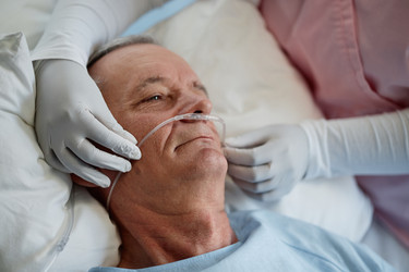 Similar image 22102460