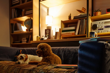 Similar image 22103424