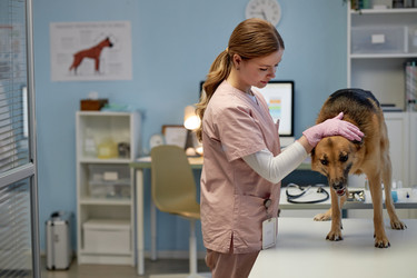 Similar image 22102149