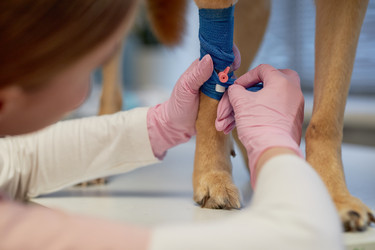 Similar image 22102154