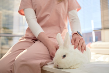 Similar image 22102123