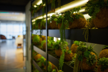 Similar image 22105316