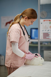 Similar image 22102105