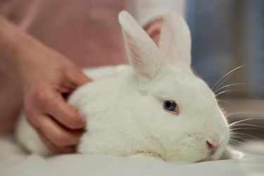 Similar image 22102117