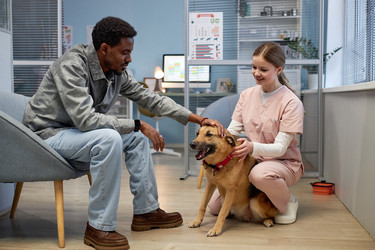 Similar image 22102138