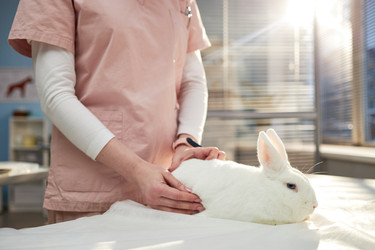 Similar image 22102115