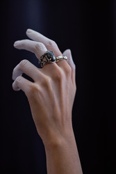 Similar image 22102007