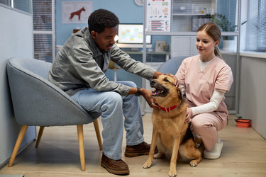 Similar image 22102140