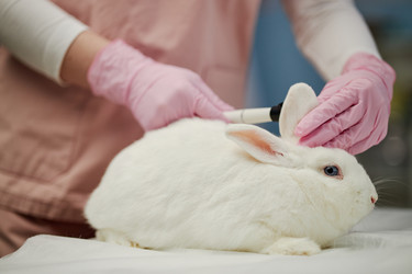 Similar image 22102108