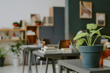 Similar image 22103737