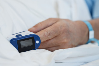 Similar image 22102384