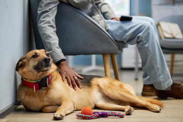 Similar image 22102135