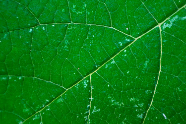 Similar image 22114925