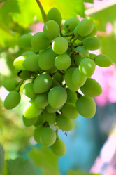 Similar image 22114926