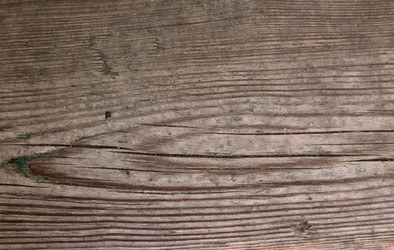 Similar image 22114927