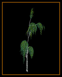 Similar image 22115056