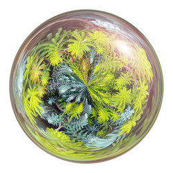 Similar image 22115131