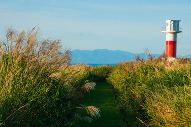 Similar image 22115154