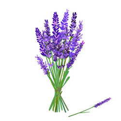 Similar image 22115180