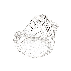 Similar image 22114935