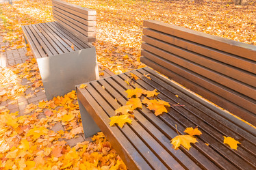 Similar image 22124711