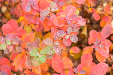 Similar image 22110004