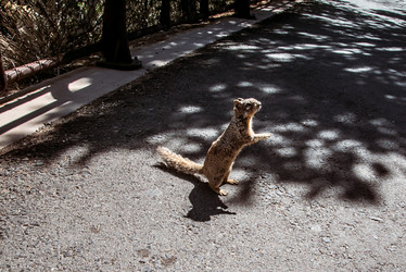 Similar image 22128867