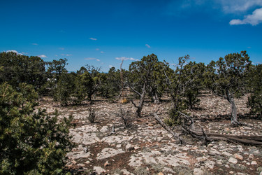 Similar image 22128871