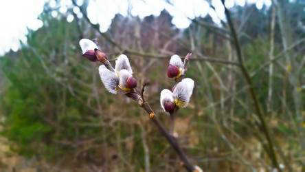 Similar image 22129849