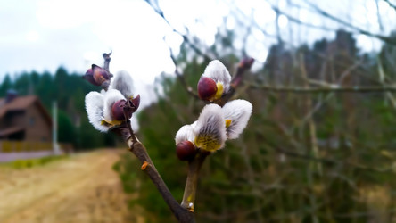 Similar image 22129850