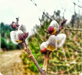 Similar image 22129851