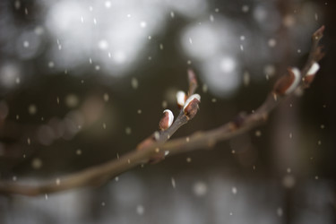 Similar image 22128880