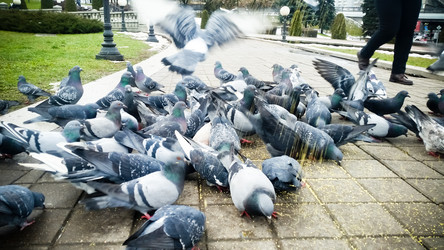 Similar image 22128881