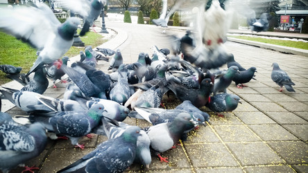 Similar image 22128882