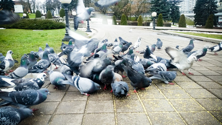 Similar image 22128883