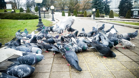 Similar image 22128884