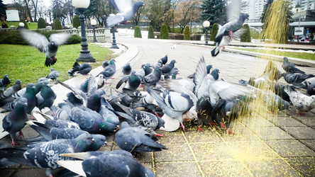 Similar image 22128885