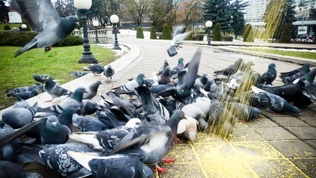 Similar image 22128886