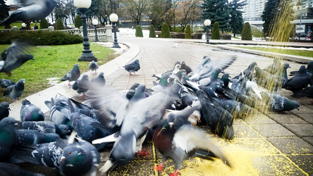 Similar image 22128887