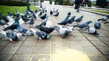 Similar image 22128888