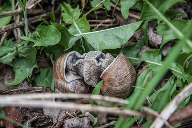 Similar image 22128889