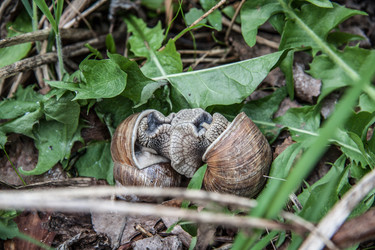 Similar image 22129854