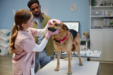 Similar image 22102148