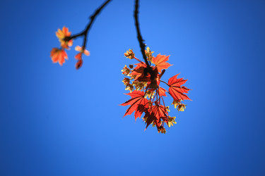 Similar image 22128320