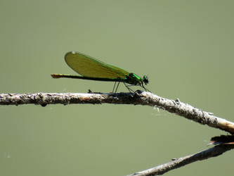 Similar image 22110005