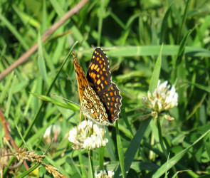 Similar image 22110006