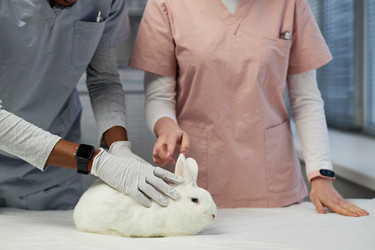 Similar image 22102116