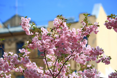 Similar image 22128322