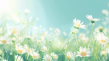 Similar image 22117205