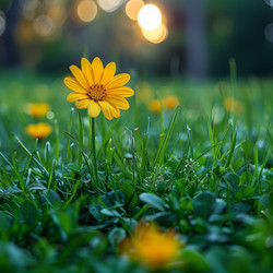 Similar image 22112304